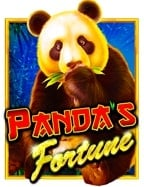 รู้จักการทดลองใช้ฟรี การพนันฟุตบอลให้คุ้มสุด